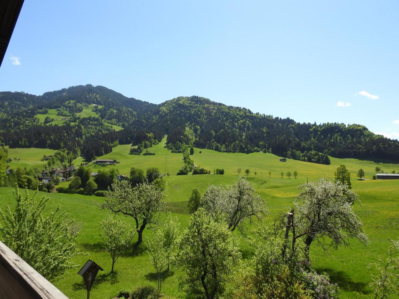 Bauernhof Hintenberg Itter Exteriör bild